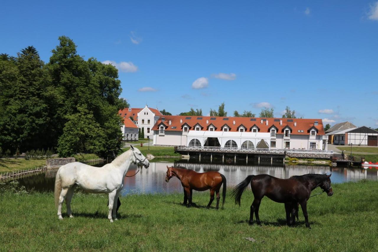 Palac Mortegi Hotel & Spa- Restauracja Szlachecka, Spa, Basen, Sauny, Jazda Konna, Mini Zoo- Luksus, Relaks I Przyroda W Jednym! Lubawa Kültér fotó