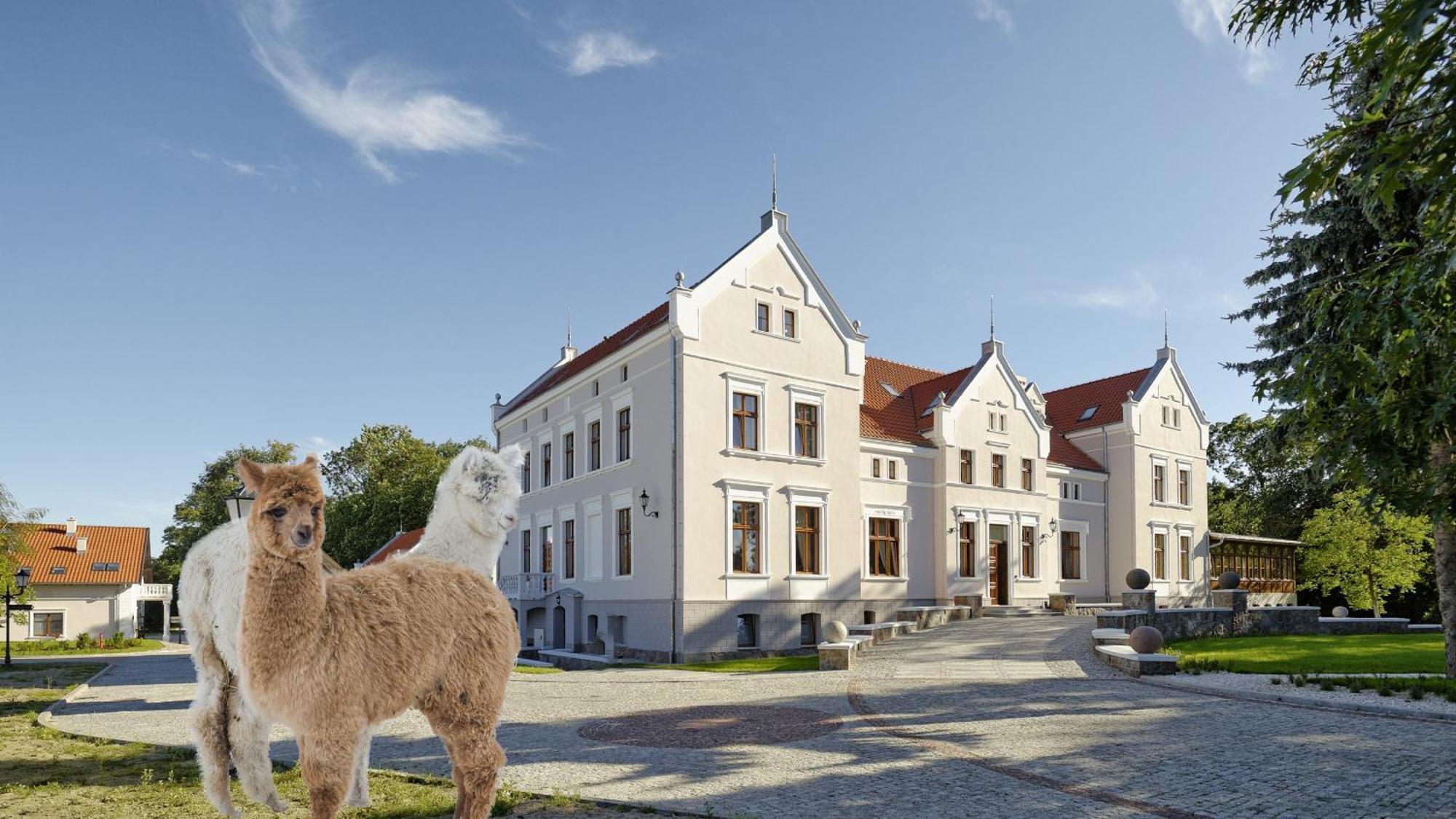 Palac Mortegi Hotel & Spa- Restauracja Szlachecka, Spa, Basen, Sauny, Jazda Konna, Mini Zoo- Luksus, Relaks I Przyroda W Jednym! Lubawa Kültér fotó
